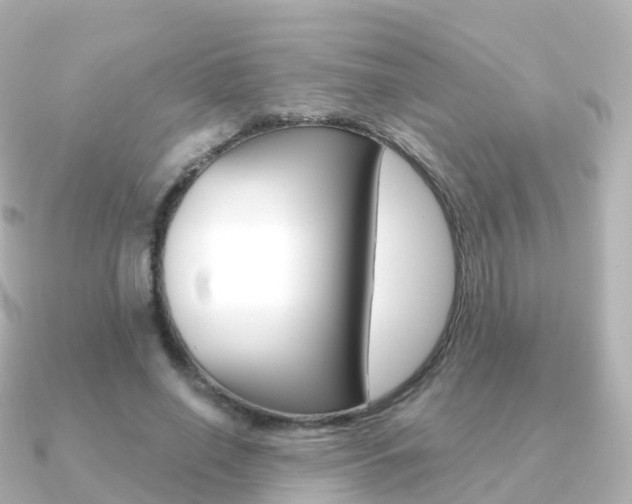 X0000091340638200708101020