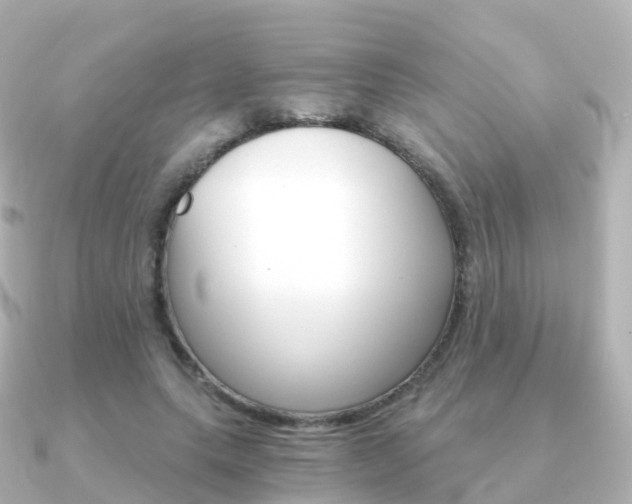 X0000091340639200708101020
