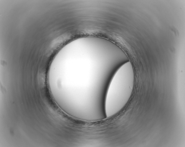 X0000091340640200708101020