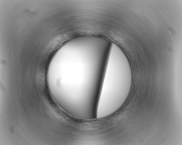 X0000091340642200708101020