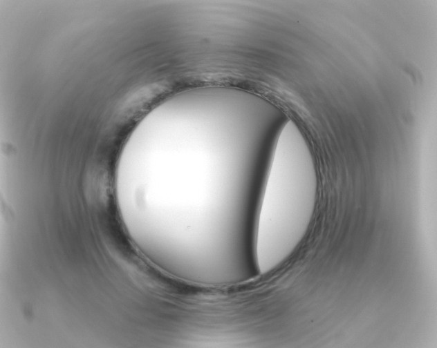 X0000091340644200708101020
