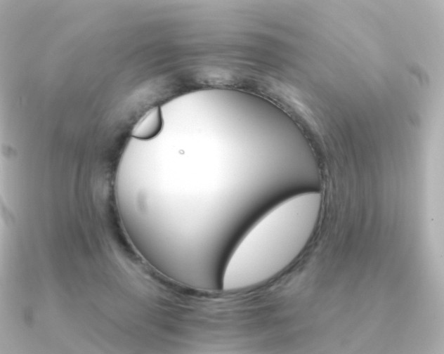 X0000091340645200708101020