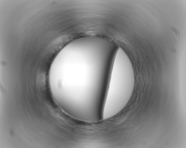 X0000091340646200708101020