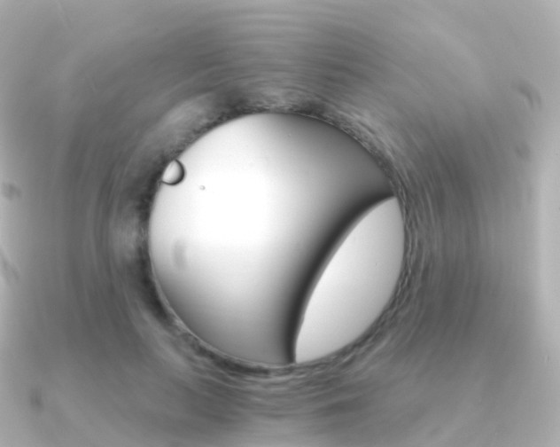 X0000091340647200708101020
