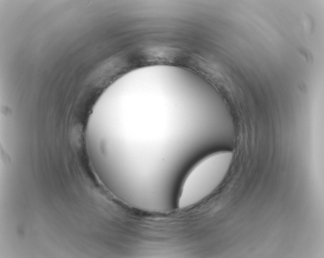 X0000091340649200708101020