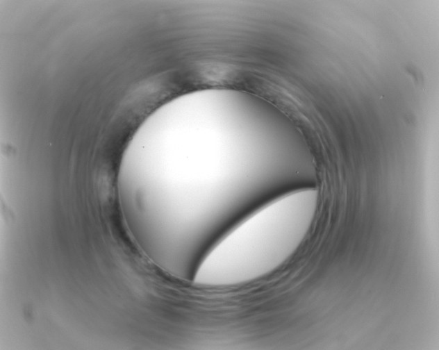 X0000091340651200708101020