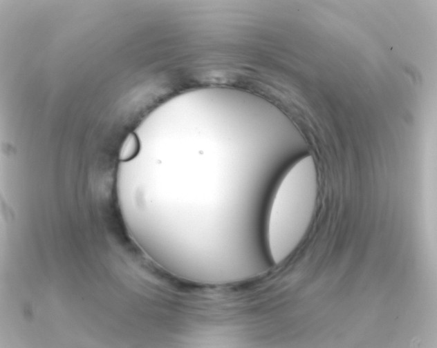 X0000091340652200708101020