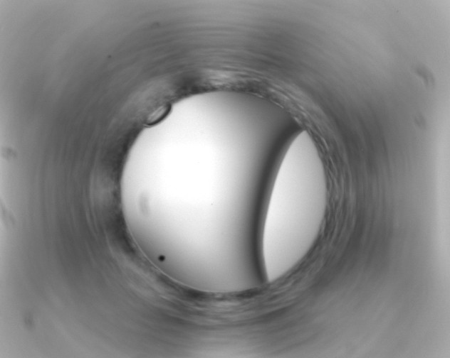 X0000091340653200708101020