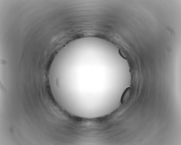 X0000091340655200708101020