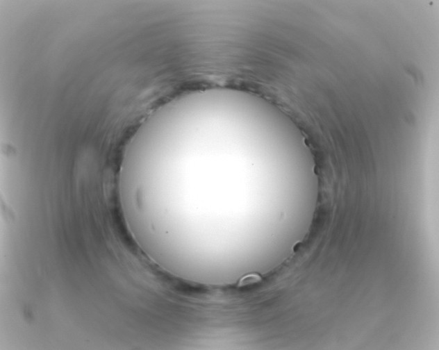X0000091340656200708101020