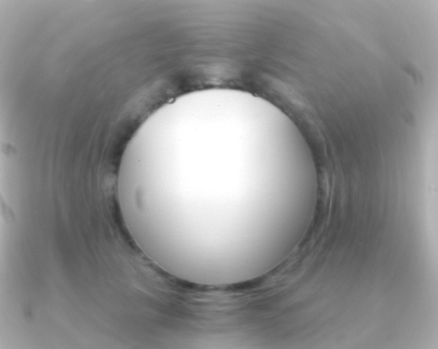 X0000091340657200708101020