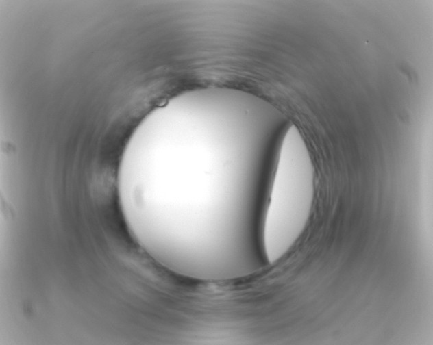 X0000091340660200708101020