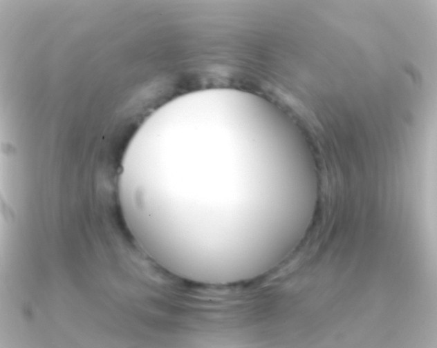 X0000091340661200708101020