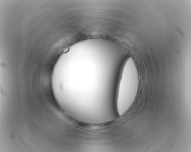 X0000091340662200708101020