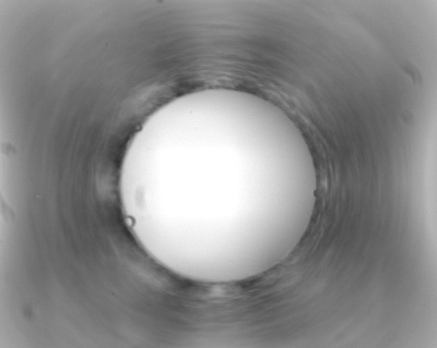 X0000091340663200708101020