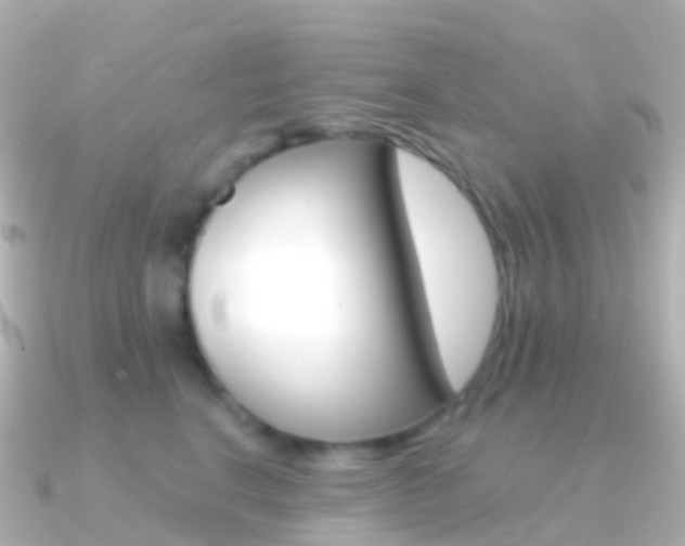 X0000091340664200708101020