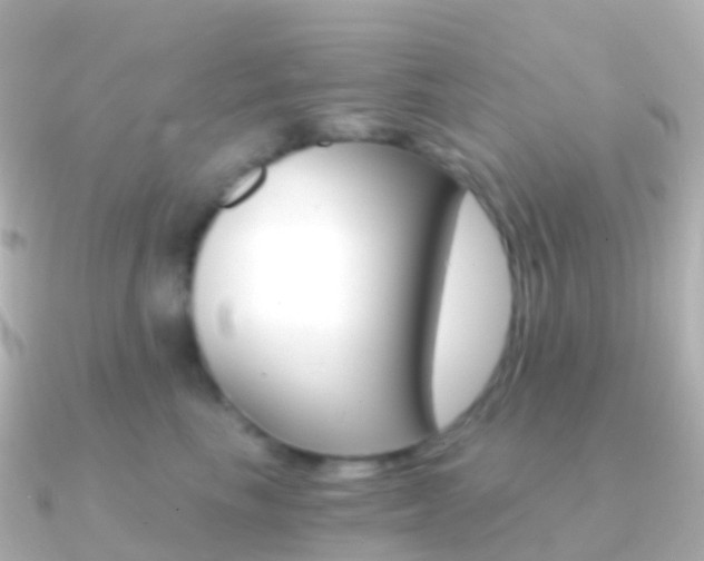 X0000091340665200708101020