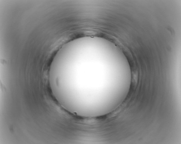 X0000091340666200708101020
