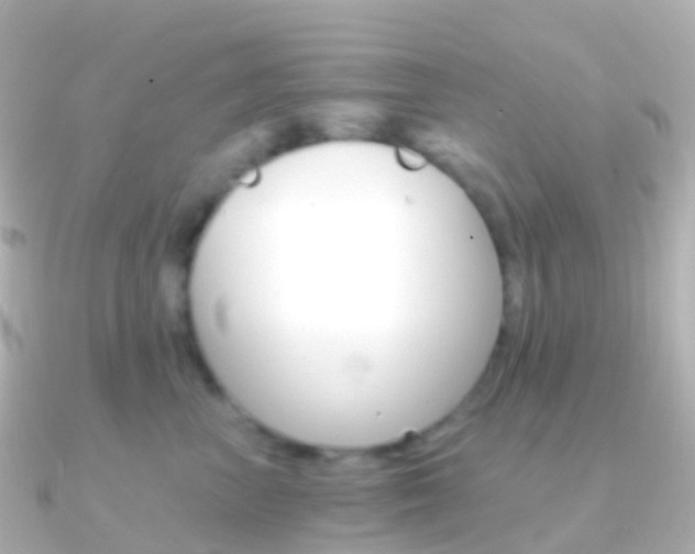 X0000091340667200708101020