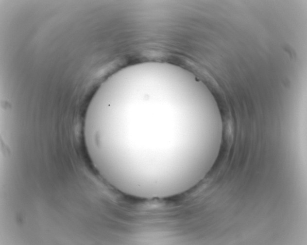 X0000091340668200708101020