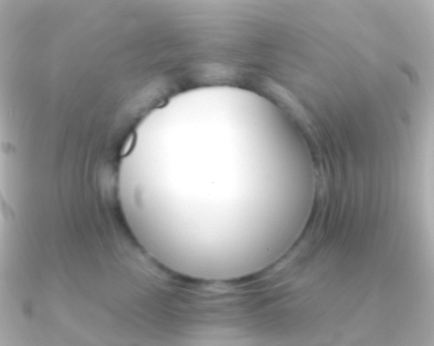 X0000091340669200708101020