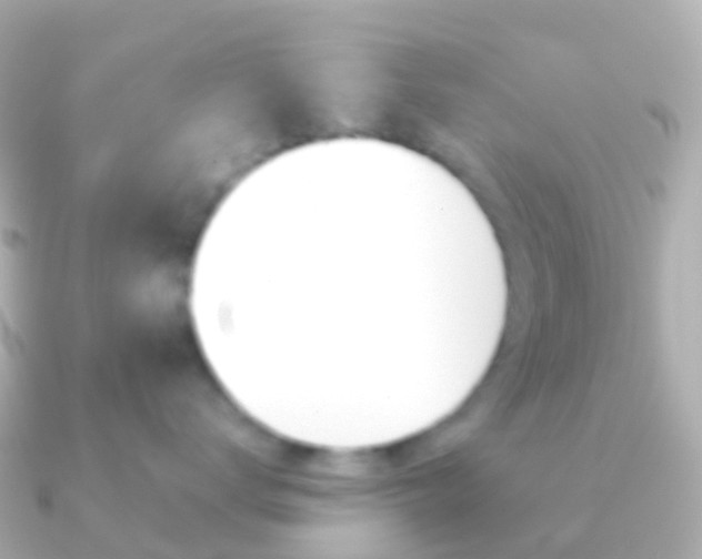 X0000091340672200708101020