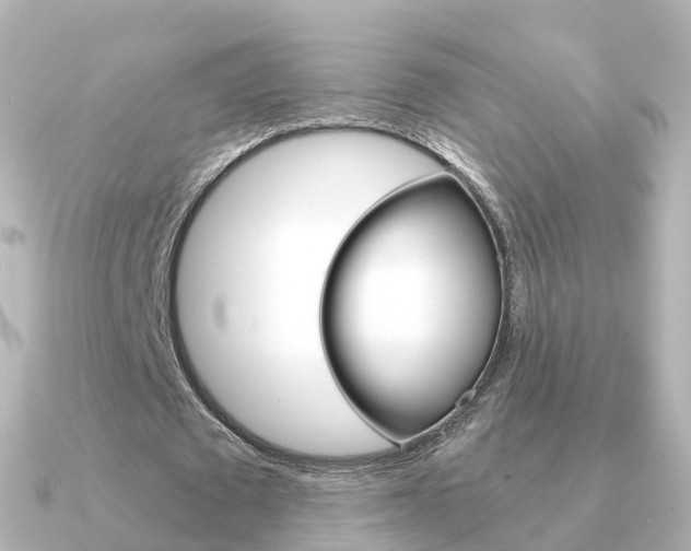X0000091340673200708101020