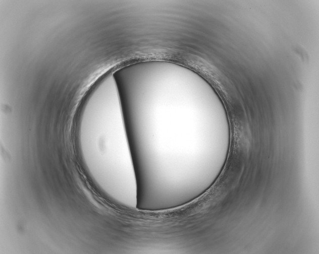 X0000091340674200708101020