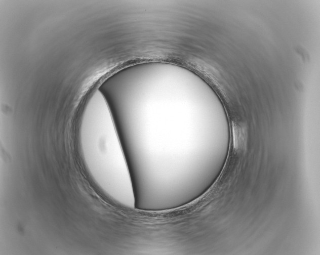 X0000091340675200708101020