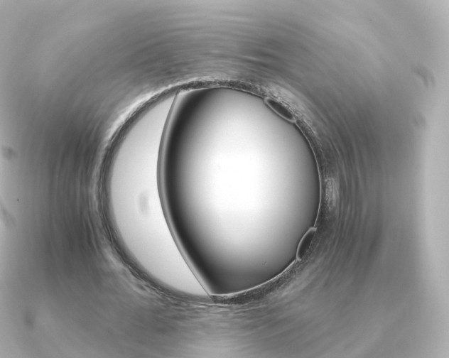 X0000091340676200708101020