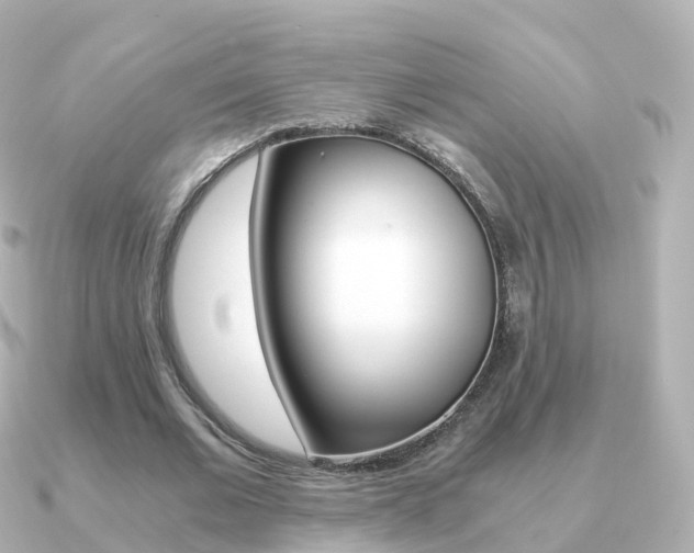 X0000091340677200708101020