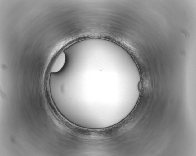 X0000091340678200708101020