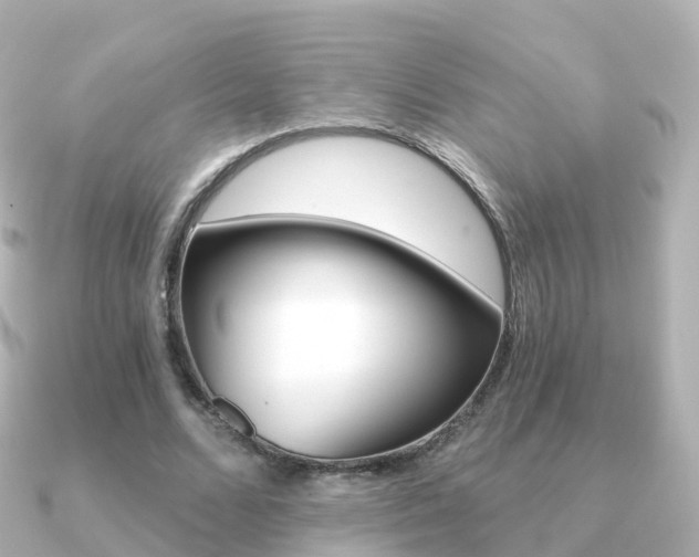 X0000091340680200708101020