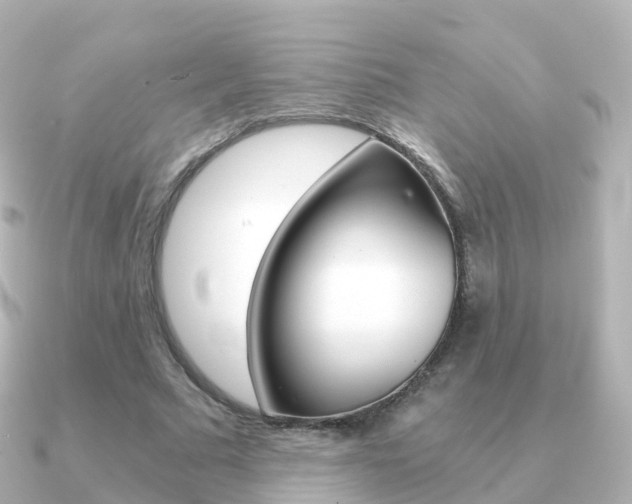 X0000091340681200708101020