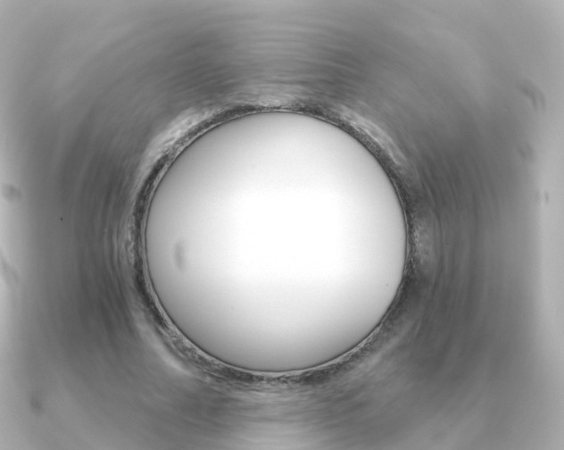 X0000091340682200708101020