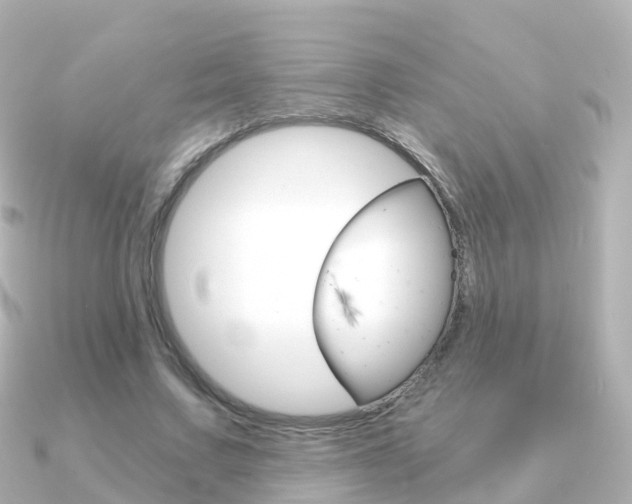 X0000091340683200708101020