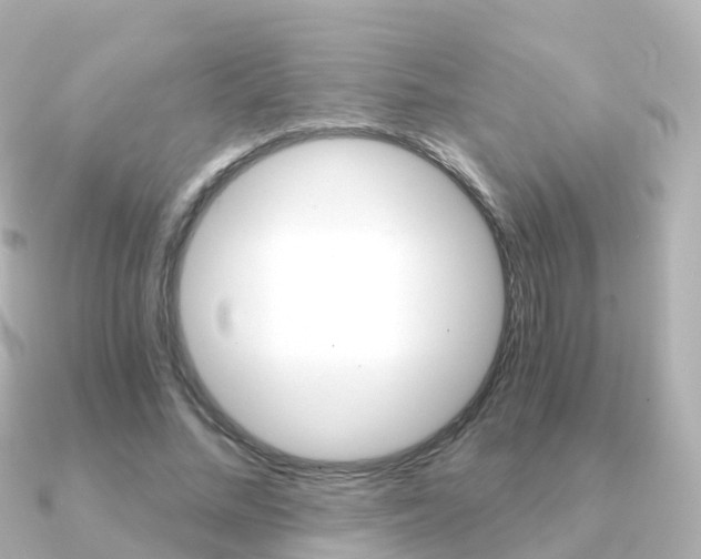 X0000091340684200708101020