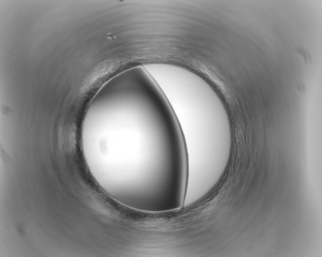X0000091340685200708101020