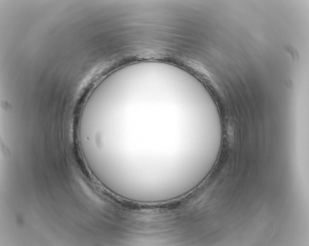 X0000091340686200708101020