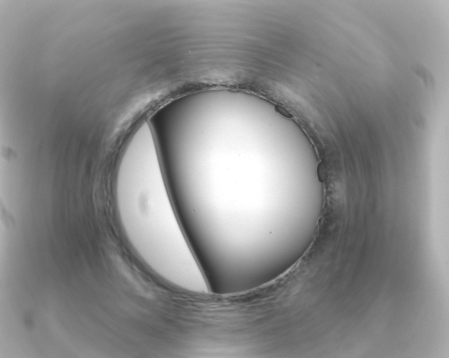 X0000091340688200708101019