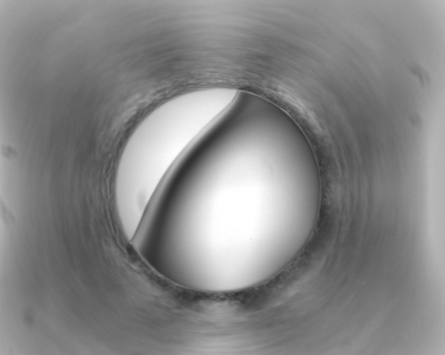 X0000091340689200708101019