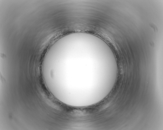 X0000091340690200708101019