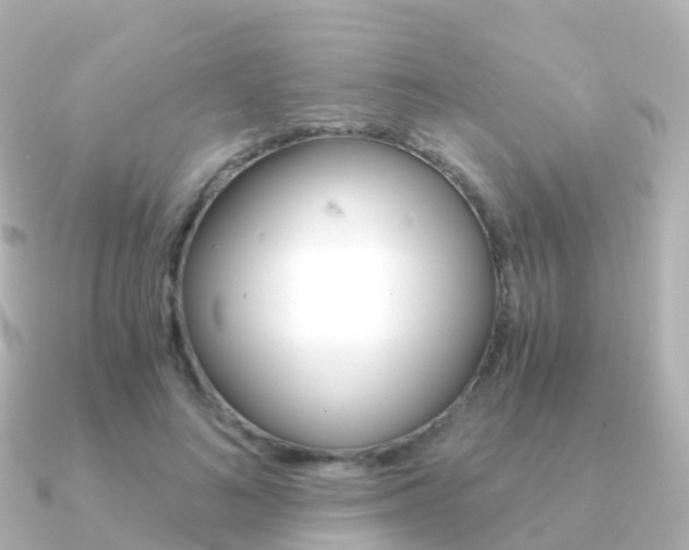 X0000091340692200708101019