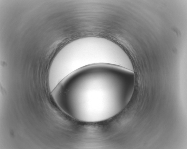 X0000091340693200708101019
