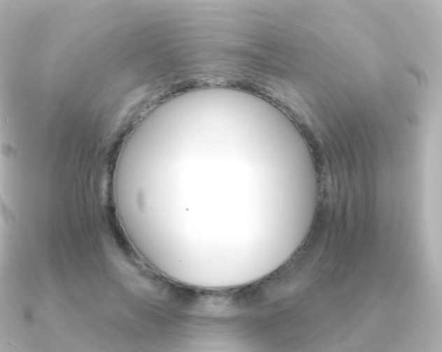 X0000091340694200708101019