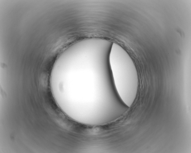 X0000091340695200708101019