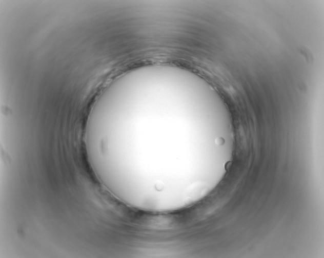 X0000091340698200708101019