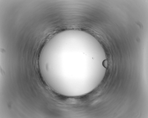 X0000091340699200708101019