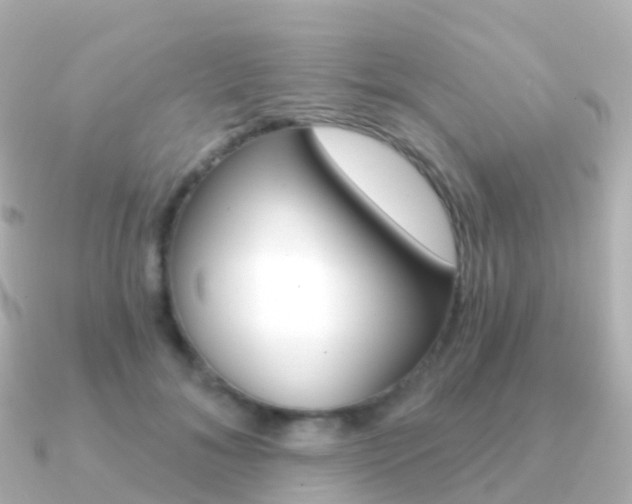 X0000091340700200708101019