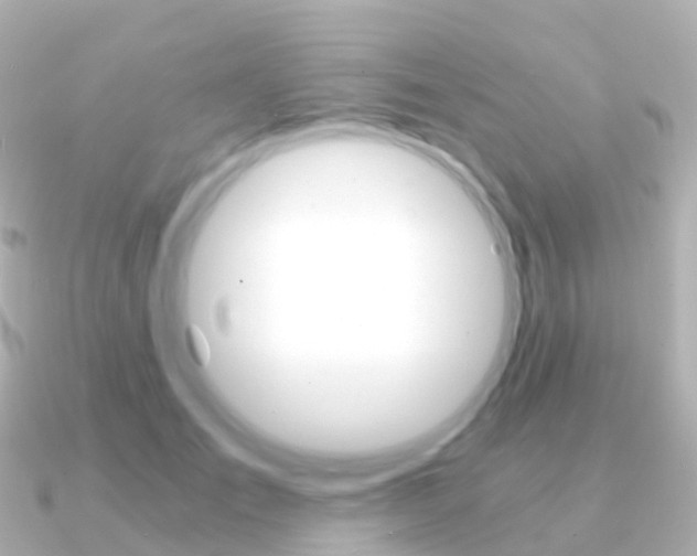 X0000091340701200708101019